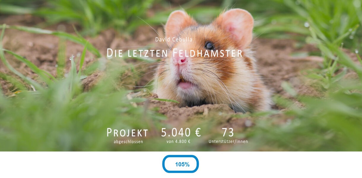 Crowdfunding-Kampagne für den Feldhamster
