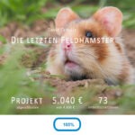 Crowdfunding-Kampagne für den Feldhamster