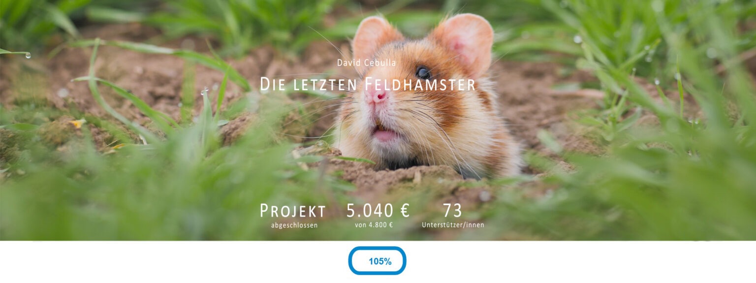 Crowdfunding-Kampagne für den Feldhamster