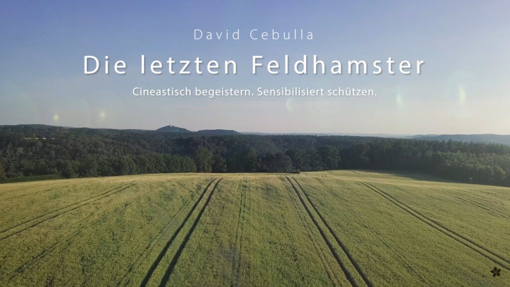 Trailer feldhamster Film David Cebulla