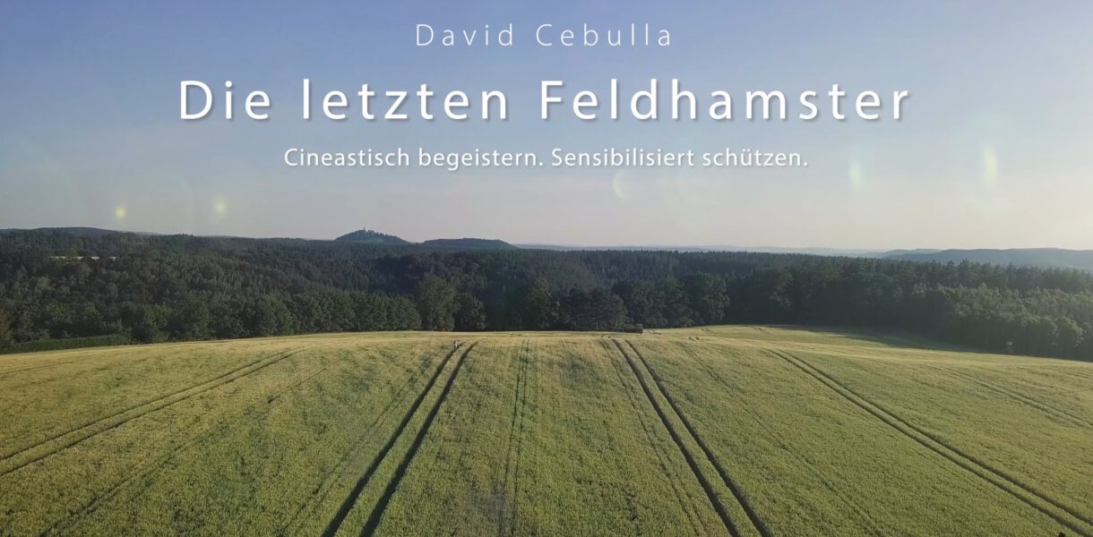 Trailer feldhamster Film David Cebulla