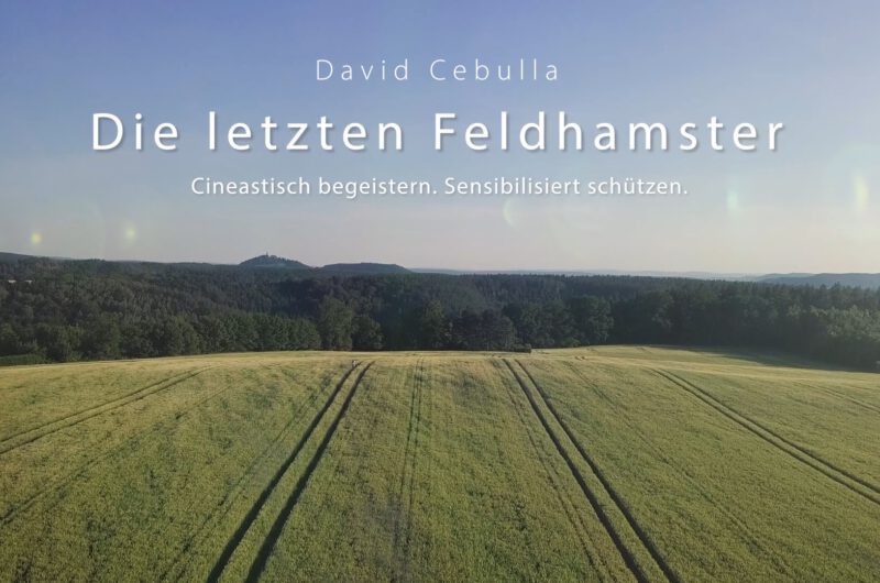 Trailer feldhamster Film David Cebulla