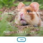 Crowdfunding european hamsters David Cebulla