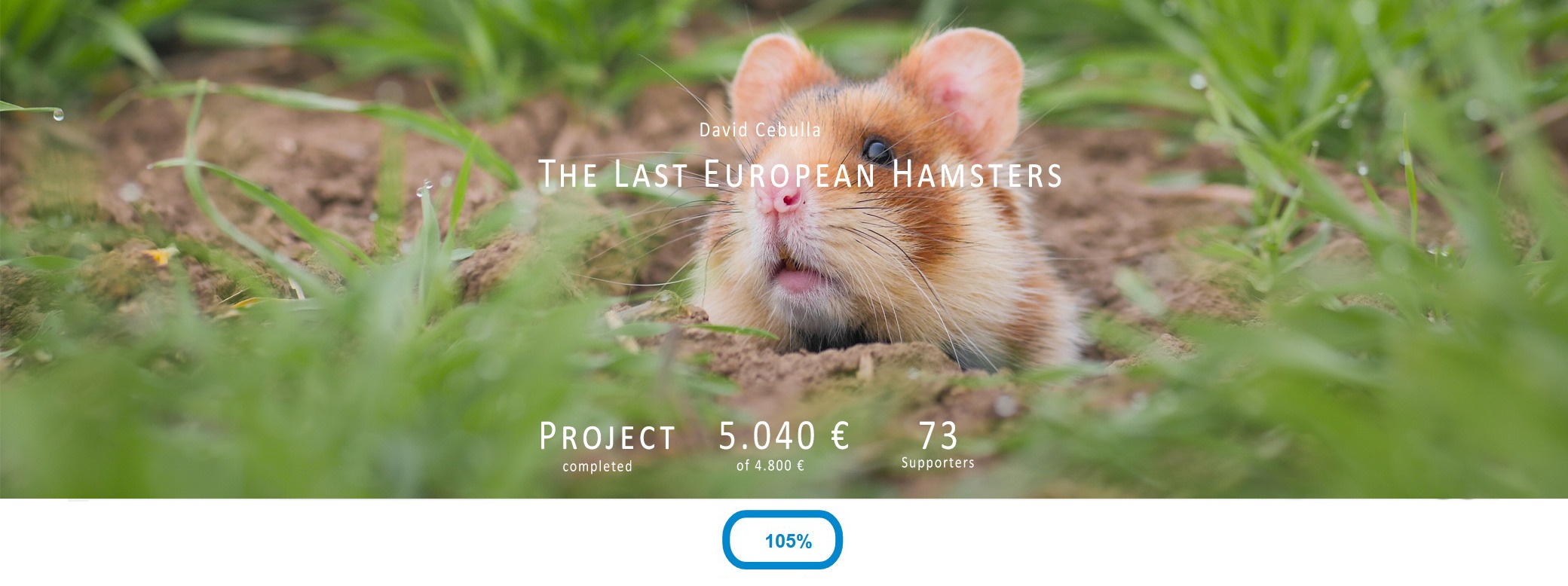 Crowdfunding european hamsters David Cebulla